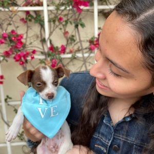 Meet your Posher, Camila